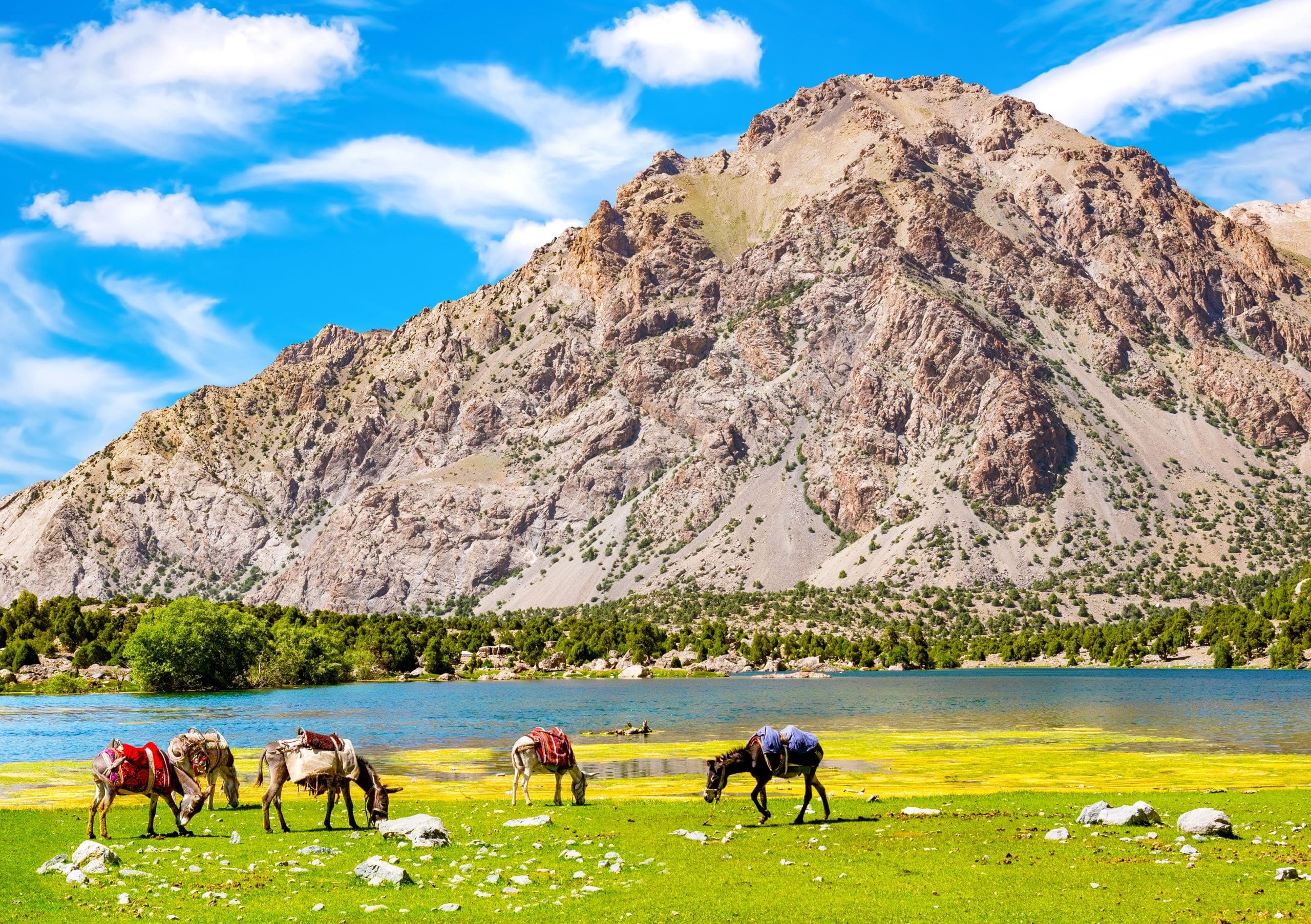 pamir